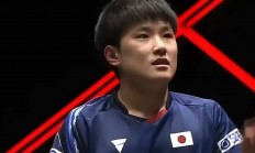 米兰体育app-包含比利时乒乓球队强势波兰乒乓球队，张本智和高光表现的词条