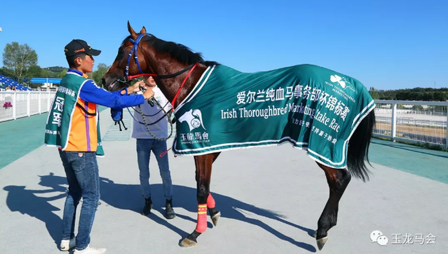 芬兰运动员刷新纪录，斩获桂冠的简单介绍