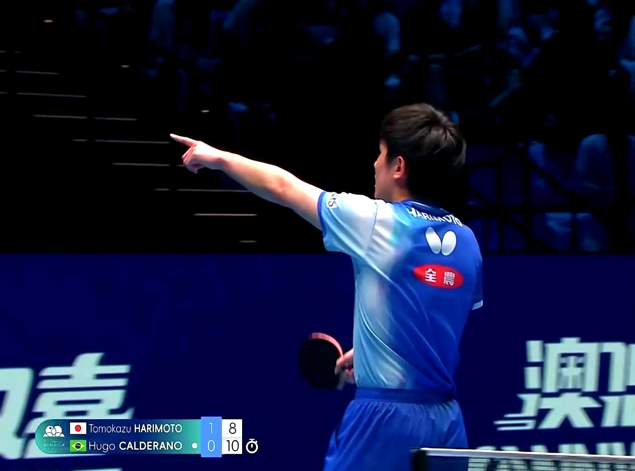 包含比利时乒乓球队强势波兰乒乓球队，张本智和高光表现的词条