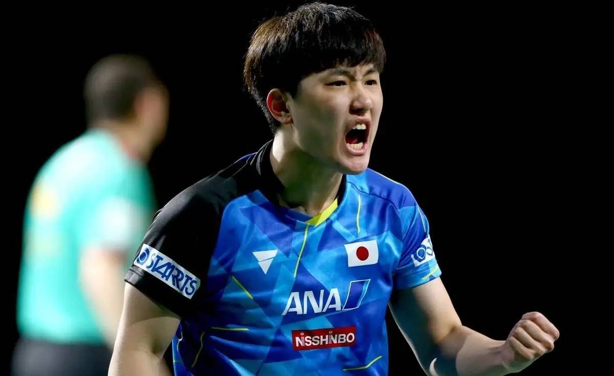 包含中国队逆转奥地利队，张本智和状态火热的词条